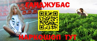 эйфоретик Моздок