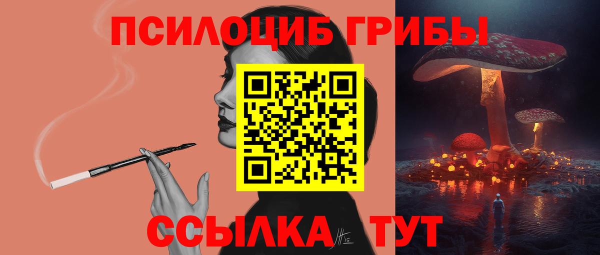 Галлюциногенные грибы Cubensis  Вход с VPN  Ростов Великий 